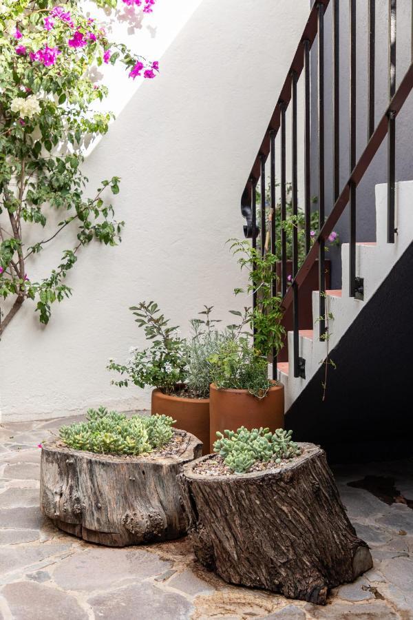 Rooftop Jacuzzi! Country-Style 4 Bedroom Cottage San Miguel de Allende Eksteriør bilde